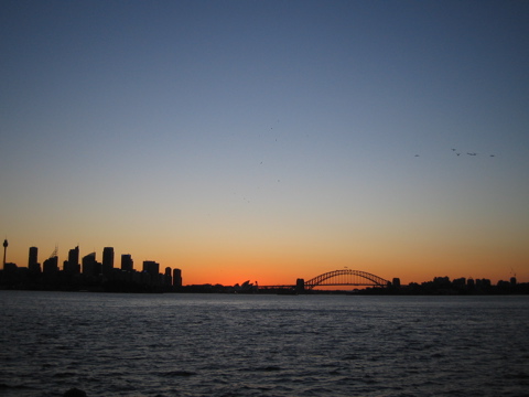 Sydney skyline at dusk