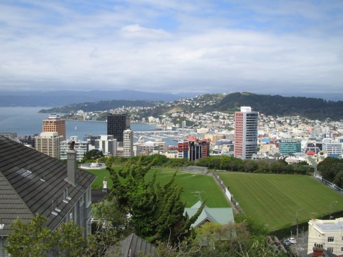 Wellington from above